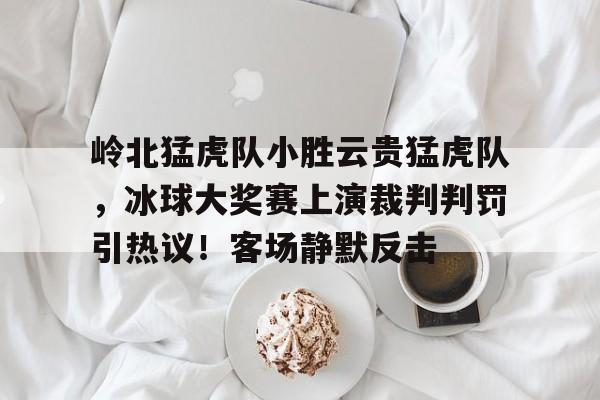 无限资源获取 岭北猛虎队小胜云贵猛虎队，冰球大奖赛上演裁判判罚引热议！客场静默反击